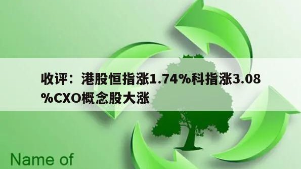 收评：港股恒指涨1.74%科指涨3.08%CXO概念股大涨