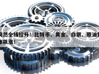 突然全线拉升！比特币、黄金、白银、原油集体飙涨！