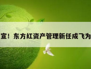 正式官宣！东方红资产管理新任成飞为总经理